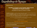 Consultations de voyance par webcam ou audiotel