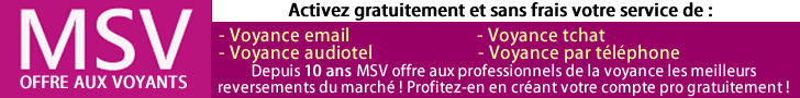 offre emploi voyant